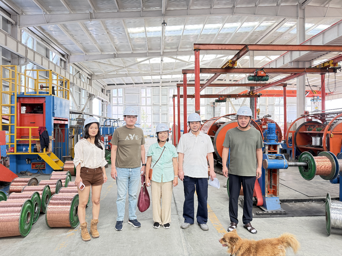 Mongolian client delegation and Hongda Cable team in the production workshop